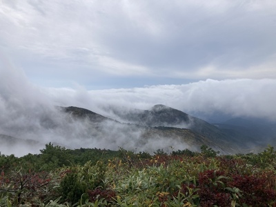 49CA2B55-DA85-4083-BCD9-7B4420F9C581.jpeg