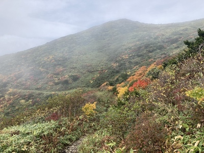 E87B320C-924F-4E2B-8C28-D385DC9D9A9B.jpeg