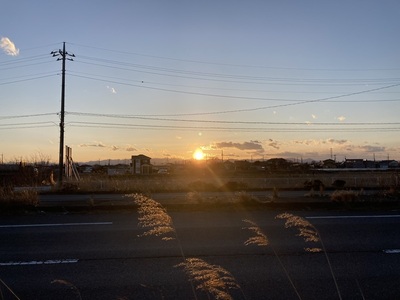 IMG_7330.jpeg